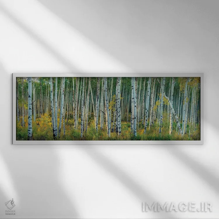 تابلو بیشهی آسپن در حال تغییر با نسیمی ملایم اثر اولنا آرت (استودیو هنری) - نمای قابدار سفید