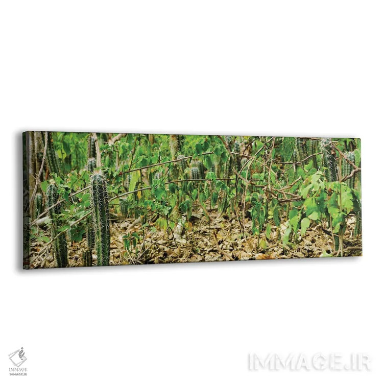 تابلو برگشت جزیره اثر مارک پائولدا - نمای پرسپکتیو محصول