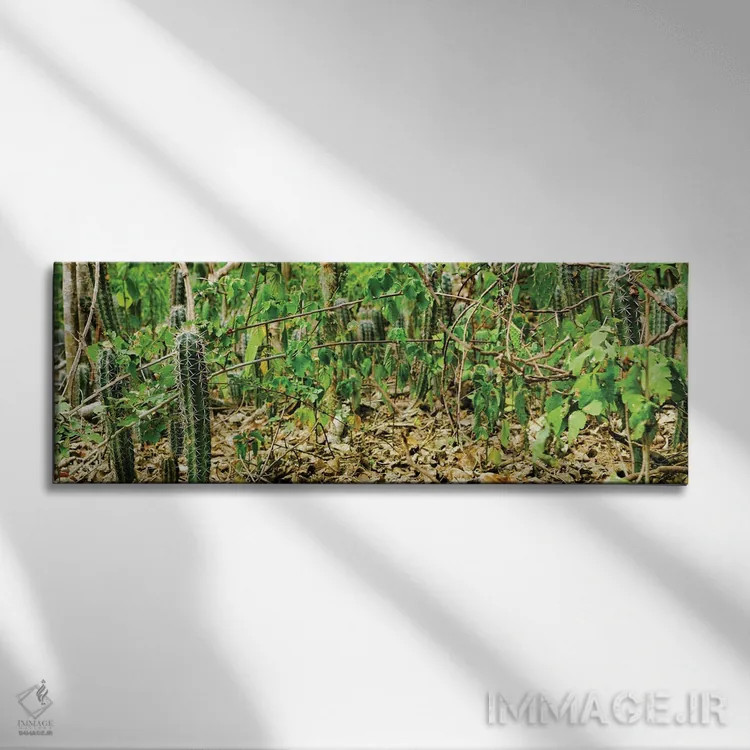 تابلو برگشت جزیره اثر مارک پائولدا - نمای روبهرو روی دیوار