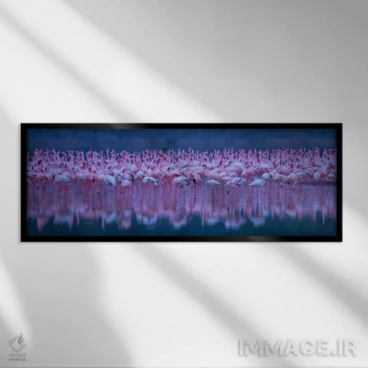 تابلو فلامینگوها (نوعی پرنده) اثر دیوید هوا - نمای قابدار مشکی