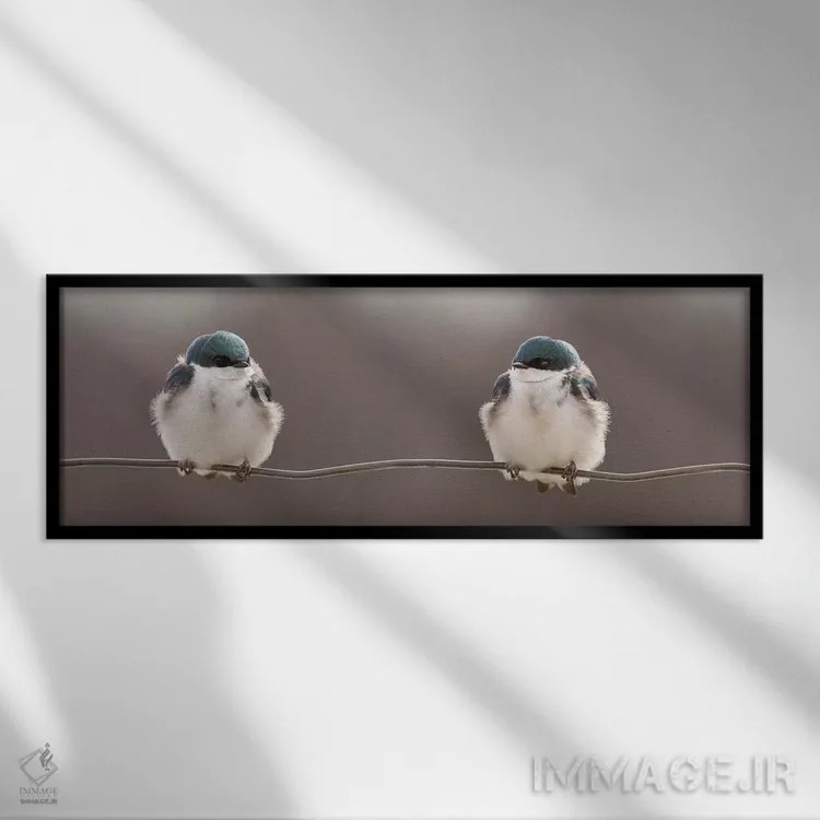 تابلو "پرندگان روی سیم" اثر لوسی گنیون - نمای قابدار مشکی