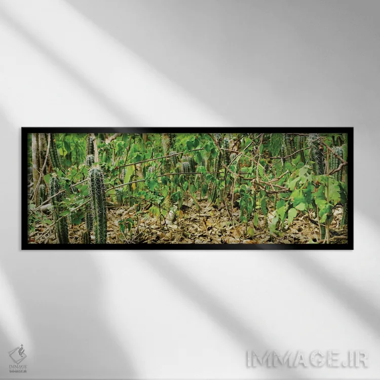 تابلو برگشت جزیره اثر مارک پائولدا - نمای قابدار مشکی