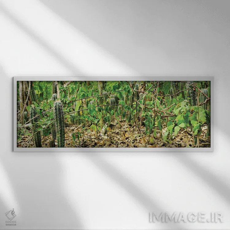 تابلو برگشت جزیره اثر مارک پائولدا - نمای قابدار سفید