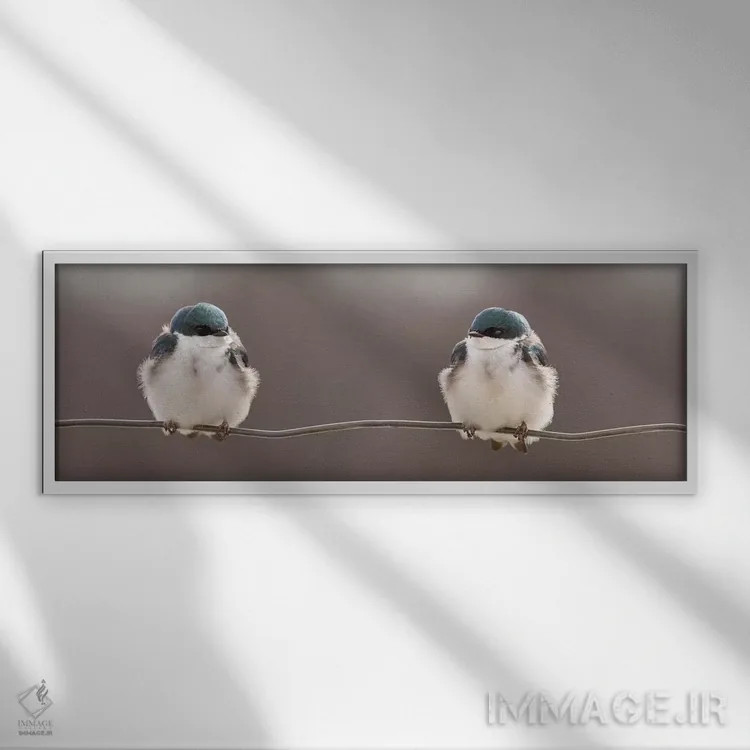 تابلو "پرندگان روی سیم" اثر لوسی گنیون - نمای قابدار سفید