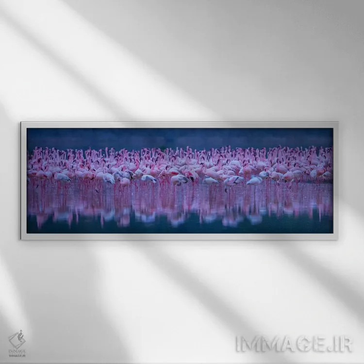 تابلو فلامینگوها (نوعی پرنده) اثر دیوید هوا - نمای قابدار سفید