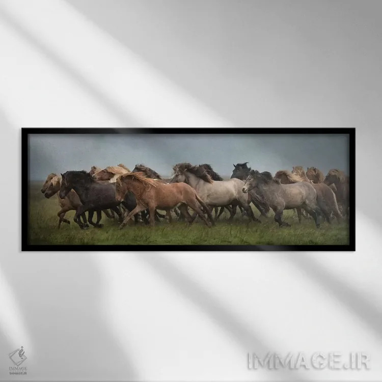 تابلو اسبهای ایسلندی XIII اثر پیاچ برچت - نمای قابدار مشکی