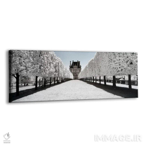 تابلو "نگاهی دیگر" اثر فیلیپ هوگونار - نمای پرسپکتیو محصول