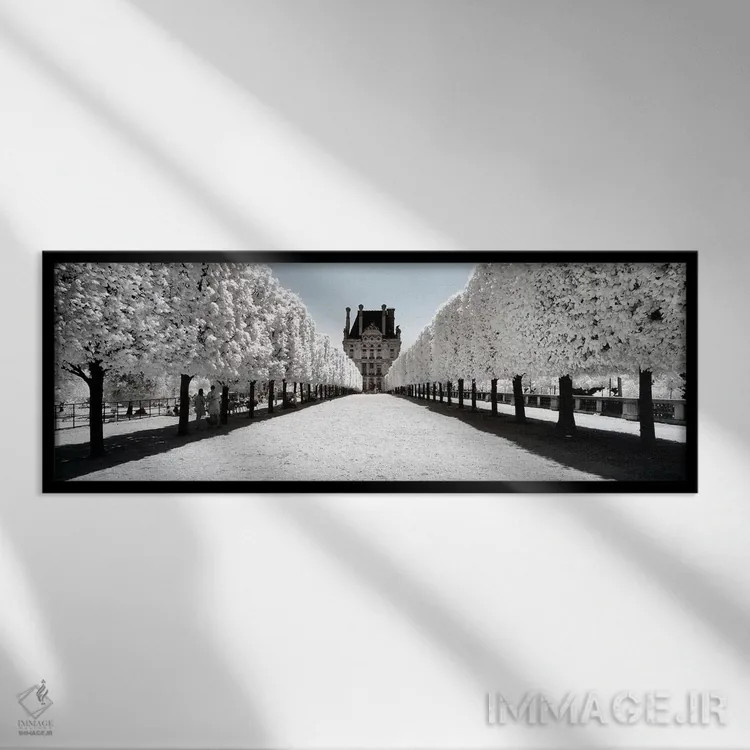 تابلو "نگاهی دیگر" اثر فیلیپ هوگونار - نمای قابدار مشکی