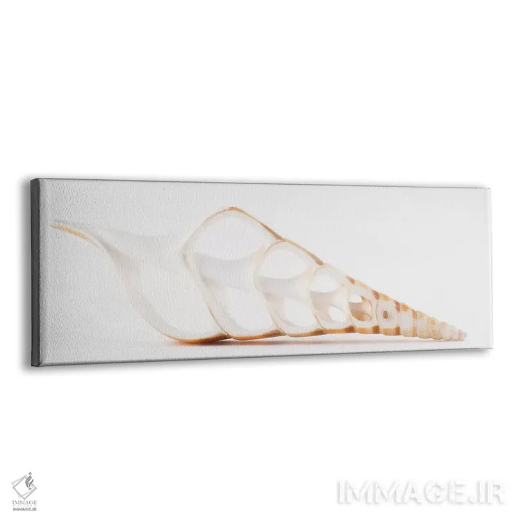 تابلو صدف تیبیای بریده شده اثر فیلیپ هوگونار - نمای پرسپکتیو محصول