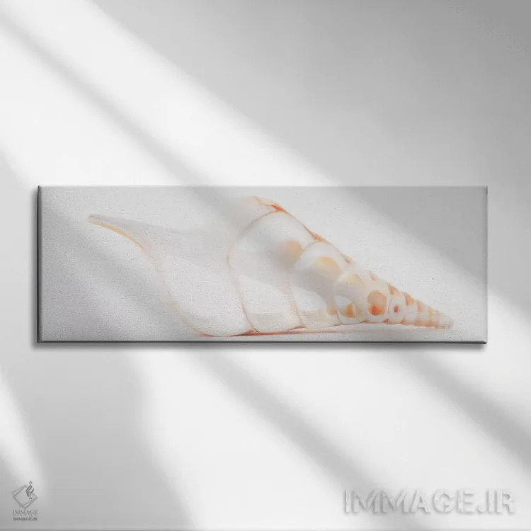 تابلو صدف تیبیای بریده شده II اثر فیلیپ هوگونار - نمای روبهرو روی دیوار