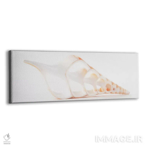 تابلو صدف تیبیای بریده شده II اثر فیلیپ هوگونار - نمای پرسپکتیو محصول