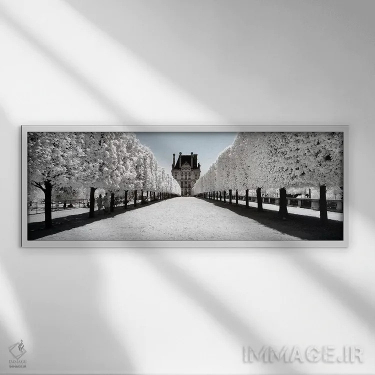 تابلو "نگاهی دیگر" اثر فیلیپ هوگونار - نمای قابدار سفید