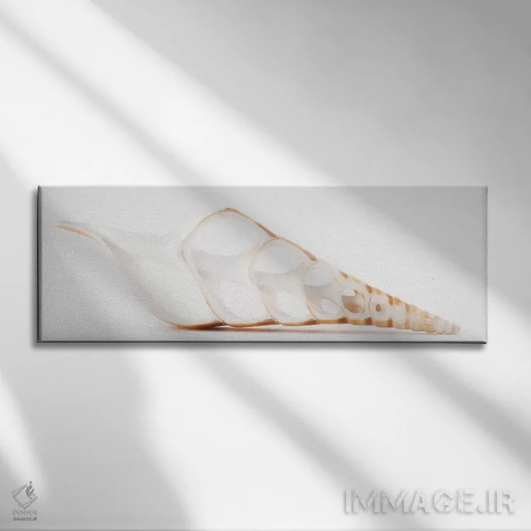 تابلو صدف تیبیای بریده شده اثر فیلیپ هوگونار - نمای روبهرو روی دیوار