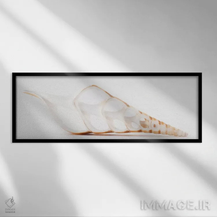 تابلو صدف تیبیای بریده شده اثر فیلیپ هوگونار - نمای قابدار مشکی