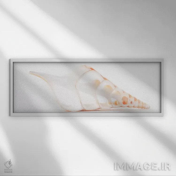 تابلو صدف تیبیای بریده شده II اثر فیلیپ هوگونار - نمای قابدار سفید