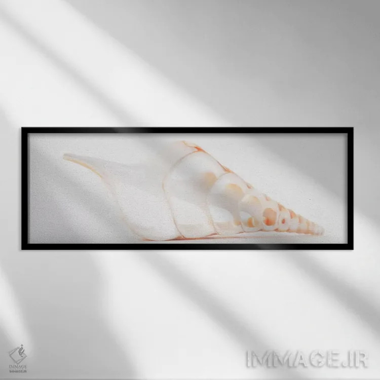 تابلو صدف تیبیای بریده شده II اثر فیلیپ هوگونار - نمای قابدار مشکی