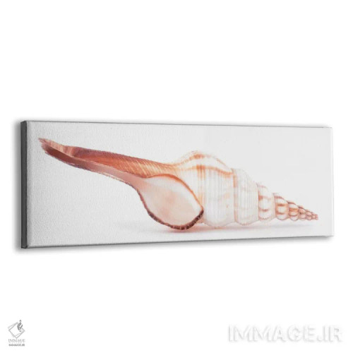 تابلو صدف فوسینوس کولوس اثر فیلیپ هوگونار - نمای پرسپکتیو محصول