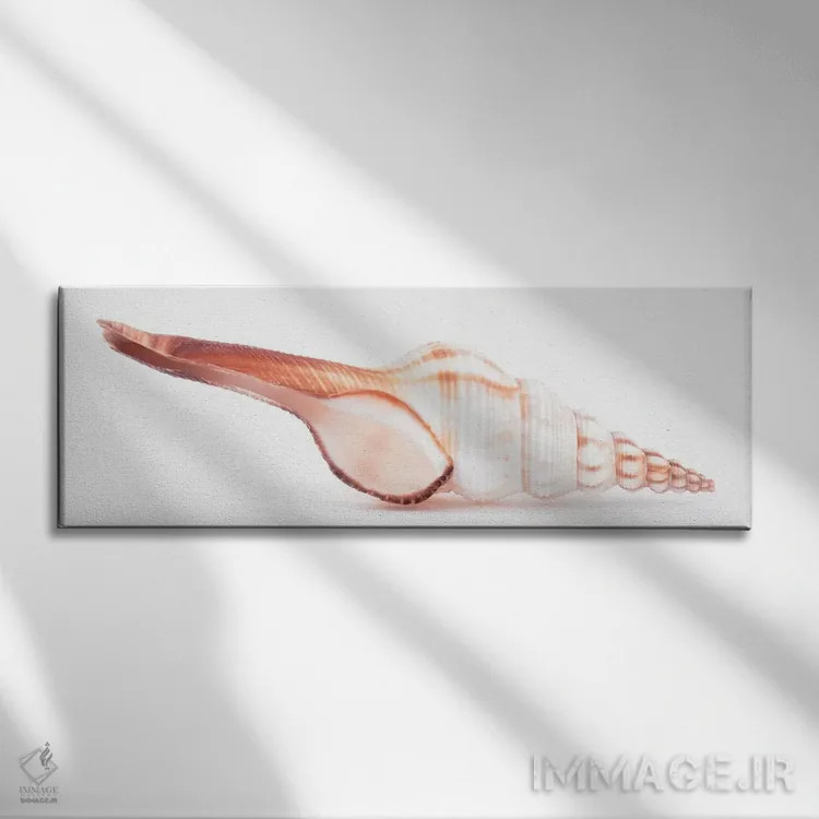 تابلو صدف فوسینوس کولوس اثر فیلیپ هوگونار - نمای روبهرو روی دیوار