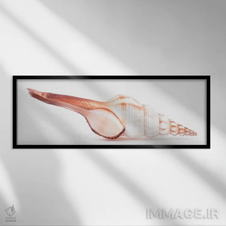 تابلو صدف فوسینوس کولوس اثر فیلیپ هوگونار - نمای قابدار مشکی