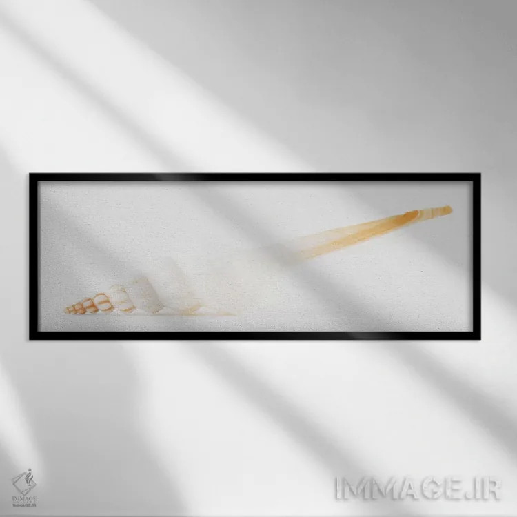 تابلو صدف اسپیندل سفید اثر فیلیپ هوگونار - نمای قابدار مشکی