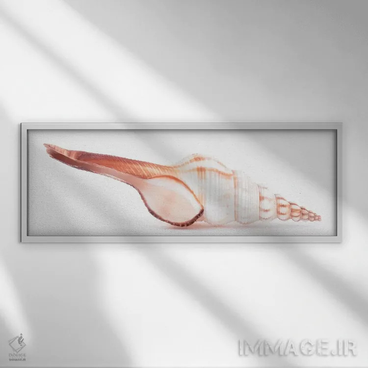 تابلو صدف فوسینوس کولوس اثر فیلیپ هوگونار - نمای قابدار سفید