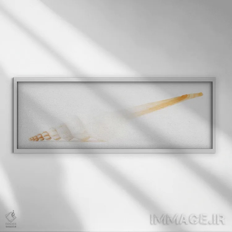 تابلو صدف اسپیندل سفید اثر فیلیپ هوگونار - نمای قابدار سفید