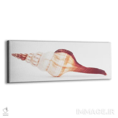تابلو صدف فوسینوس کولوس II اثر فیلیپ هوگونار - نمای پرسپکتیو محصول