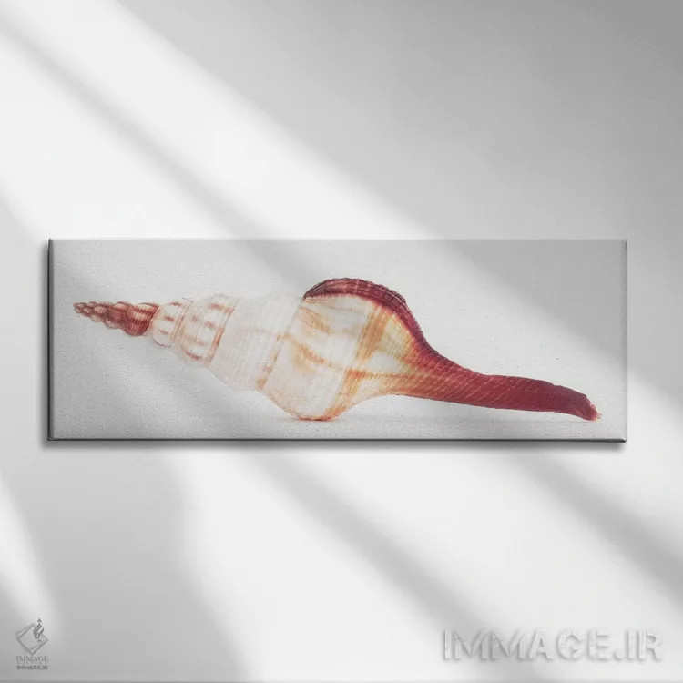تابلو صدف فوسینوس کولوس II اثر فیلیپ هوگونار - نمای روبهرو روی دیوار