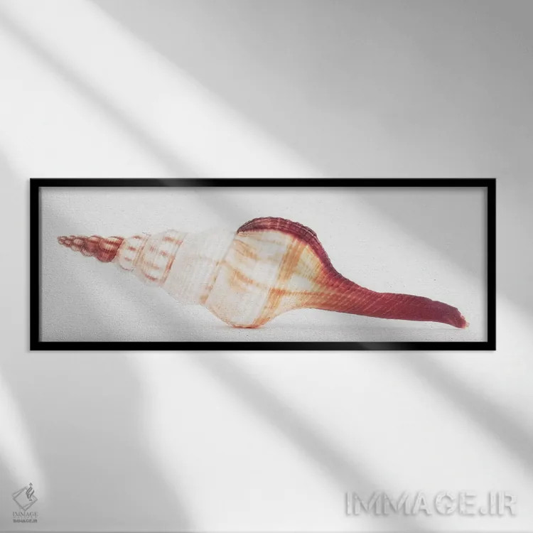 تابلو صدف فوسینوس کولوس II اثر فیلیپ هوگونار - نمای قابدار مشکی