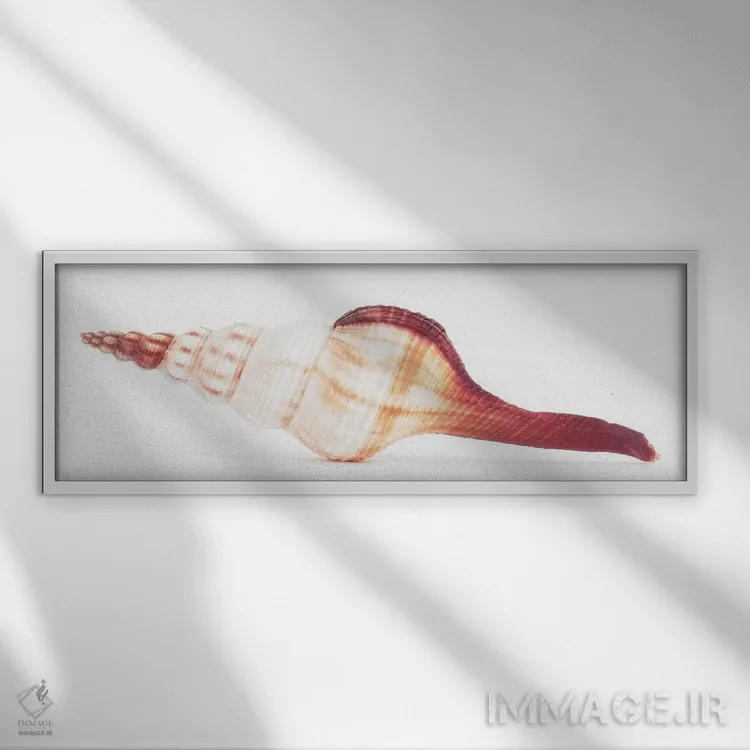 تابلو صدف فوسینوس کولوس II اثر فیلیپ هوگونار - نمای قابدار سفید