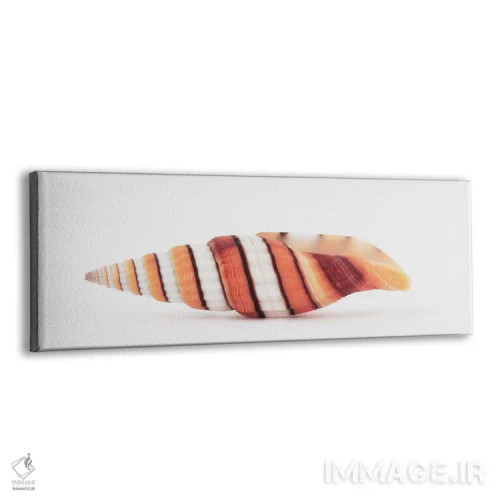 تابلو صدف میتر ملکه اثر فیلیپ هوگونار - نمای پرسپکتیو محصول