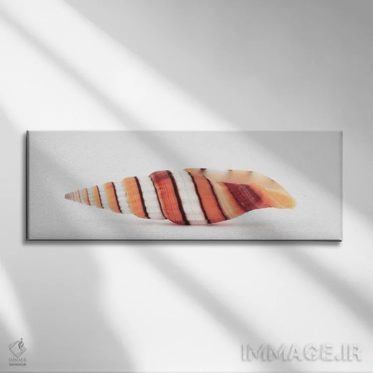 تابلو صدف میتر ملکه اثر فیلیپ هوگونار - نمای روبهرو روی دیوار