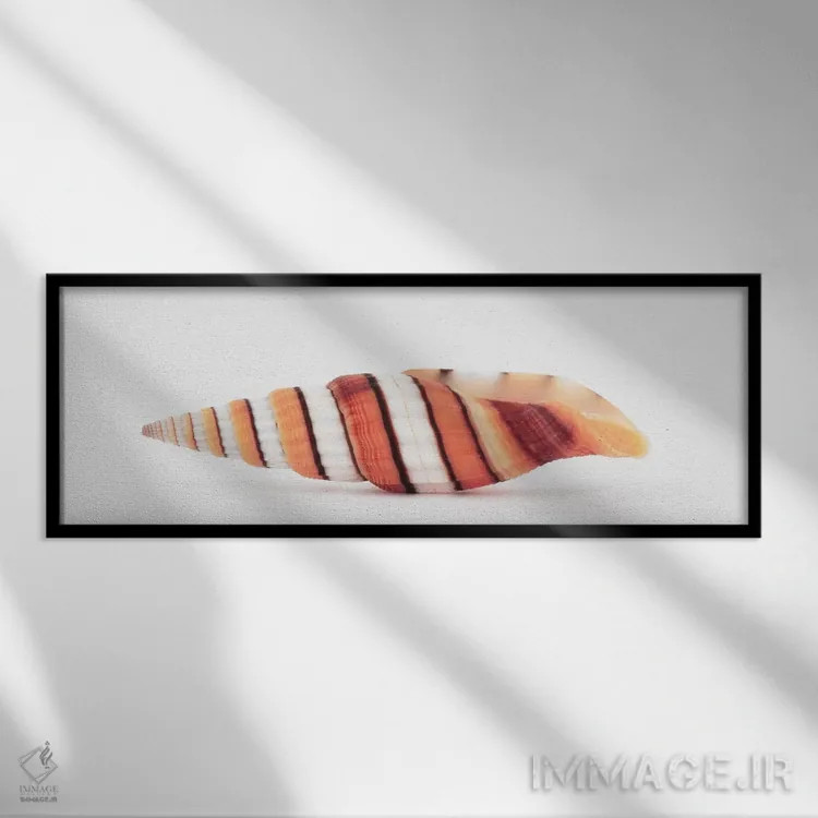 تابلو صدف میتر ملکه اثر فیلیپ هوگونار - نمای قابدار مشکی