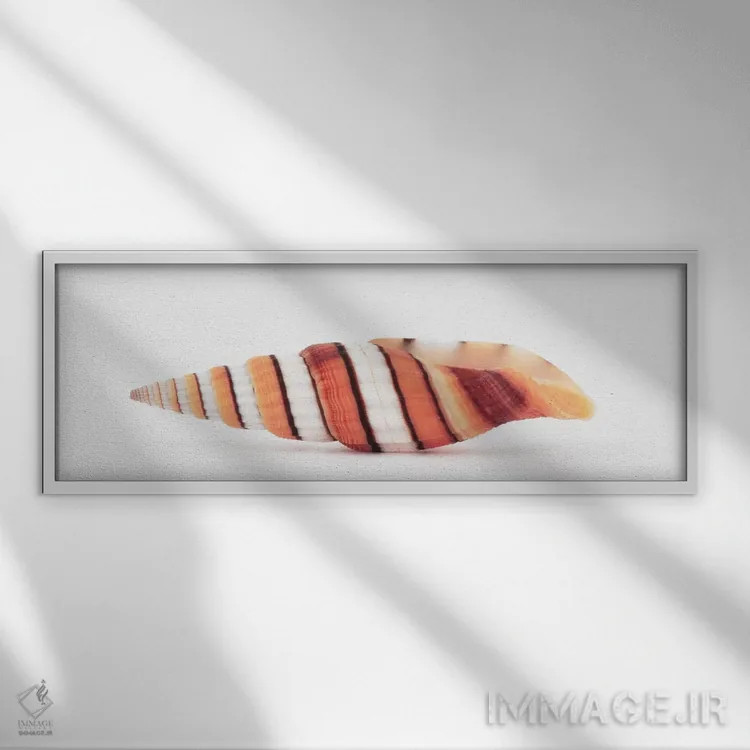 تابلو صدف میتر ملکه اثر فیلیپ هوگونار - نمای قابدار سفید