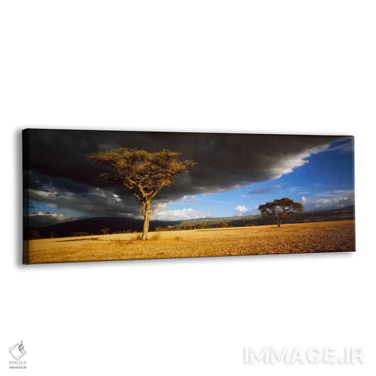تابلو درخت با ابرهای طوفانی تانزانیا اثر پانورامیک ایمجز (استودیو عکاسی عریض) - نمای پرسپکتیو محصول