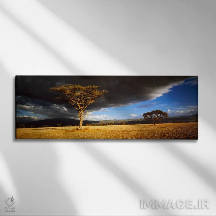 تابلو درخت با ابرهای طوفانی تانزانیا اثر پانورامیک ایمجز (استودیو عکاسی عریض) - نمای روبهرو روی دیوار
