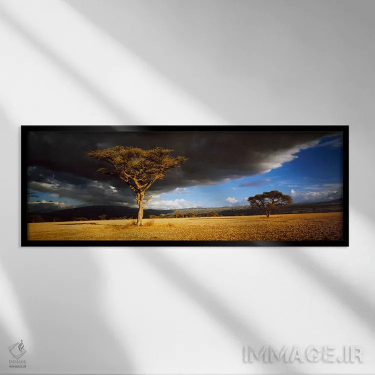 تابلو درخت با ابرهای طوفانی تانزانیا اثر پانورامیک ایمجز (استودیو عکاسی عریض) - نمای قابدار مشکی