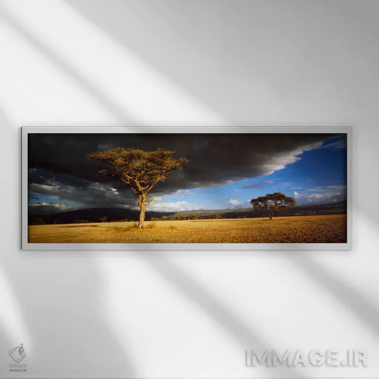 تابلو درخت با ابرهای طوفانی تانزانیا اثر پانورامیک ایمجز (استودیو عکاسی عریض) - نمای قابدار سفید
