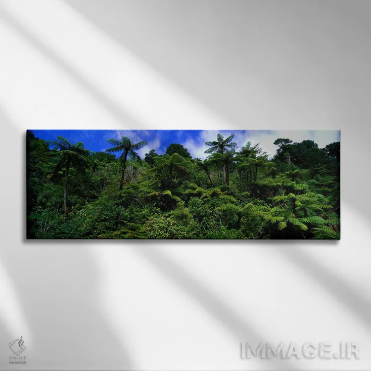 تابلو جنگل بارانی پارک ملی پاپاروا، جزیره جنوبی، نیوزیلند اثر پانورامیک ایمجز (استودیو عکاسی عریض) - نمای روبهرو روی دیوار