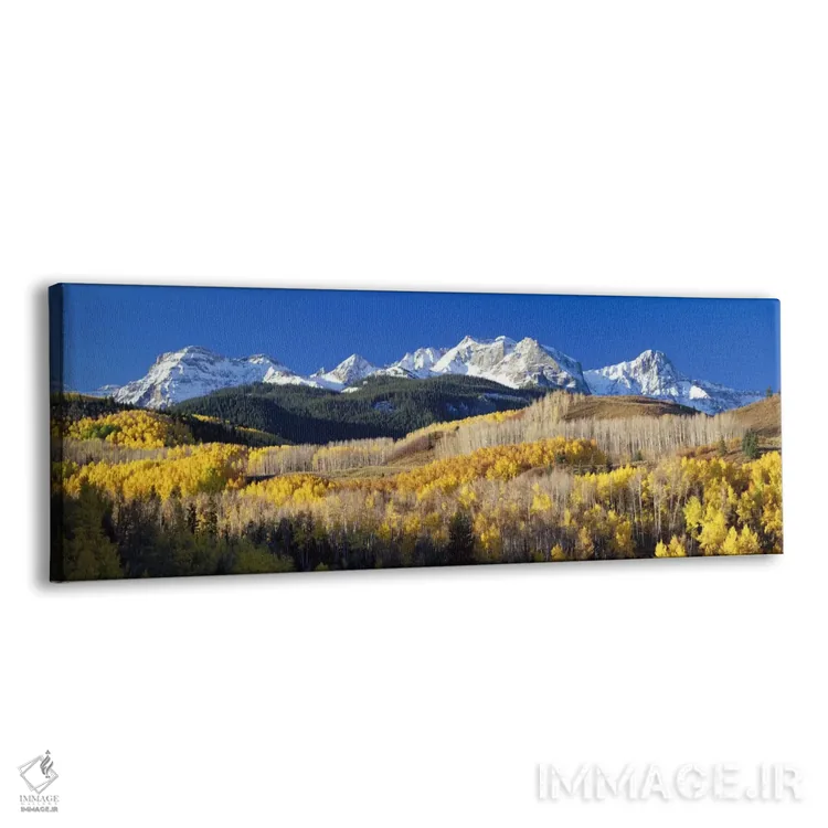 تابلو منظره پاییزی، رشتهکوههای راکی، کلرادو، ایالات متحده اثر پانورامیک ایمجز (استودیو عکاسی عریض) - نمای پرسپکتیو محصول