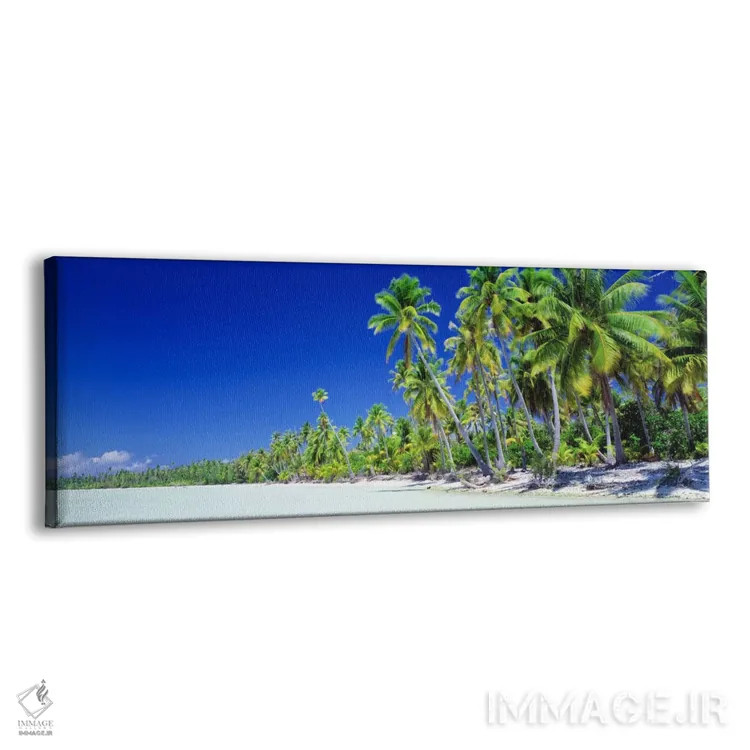 تابلو ساحل پر از درخت نخل، بورا بورا، جزایر سوسایتی، پولینزی فرانسه اثر پانورامیک ایمجز (استودیو عکاسی عریض) - نمای پرسپکتیو محصول