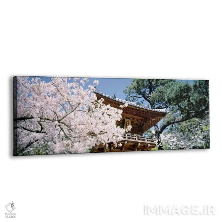 تابلو ایالات متحده آمریکا، کالیفرنیا، سانفرانسیسکو، پارک گلدن گیت، باغ چای ژاپنی، دروازه ورودی اثر پانورامیک ایمجز (استودیو عکاسی عریض) - نمای پرسپکتیو محصول