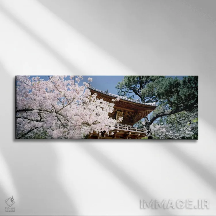 تابلو ایالات متحده آمریکا، کالیفرنیا، سانفرانسیسکو، پارک گلدن گیت، باغ چای ژاپنی، دروازه ورودی اثر پانورامیک ایمجز (استودیو عکاسی عریض) - نمای روبهرو روی دیوار