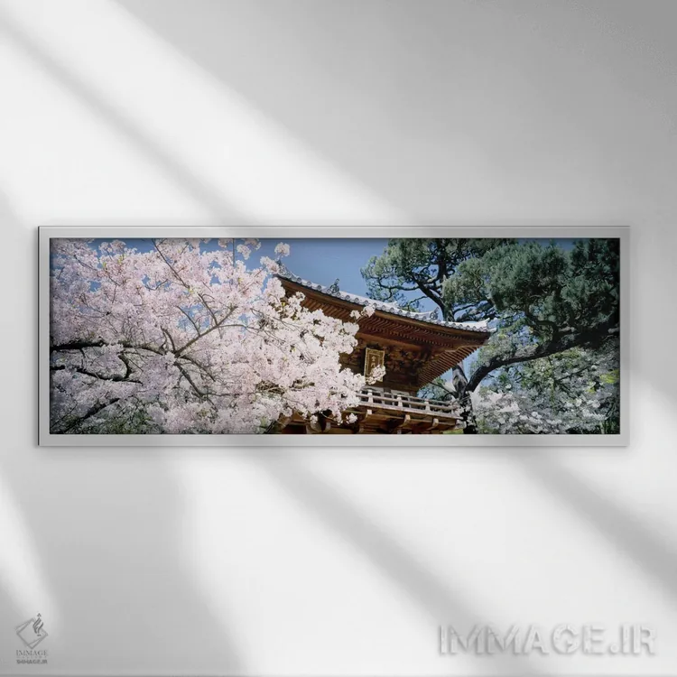 تابلو ایالات متحده آمریکا، کالیفرنیا، سانفرانسیسکو، پارک گلدن گیت، باغ چای ژاپنی، دروازه ورودی اثر پانورامیک ایمجز (استودیو عکاسی عریض) - نمای قابدار سفید