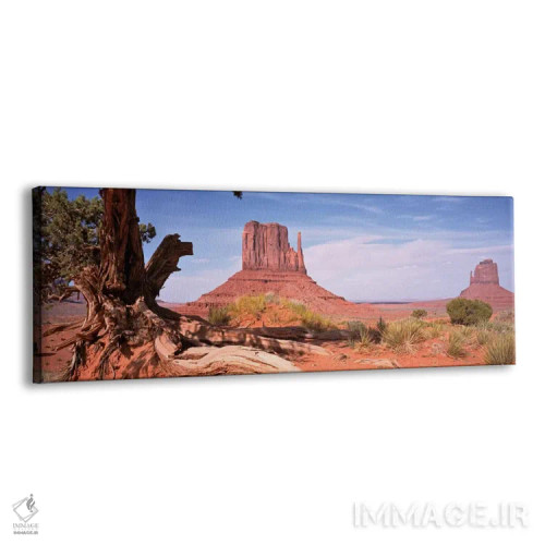 تابلو برجهای میتن غربی و شرقی (دستکشها) با تنه درختی پیچیده در پیشزمینه، دره یادبود، ملت ناواهو، ایالات متحده آمریکا اثر پانورامیک ایمجز (استودیو عکاسی عریض) - نمای پرسپکتیو محصول