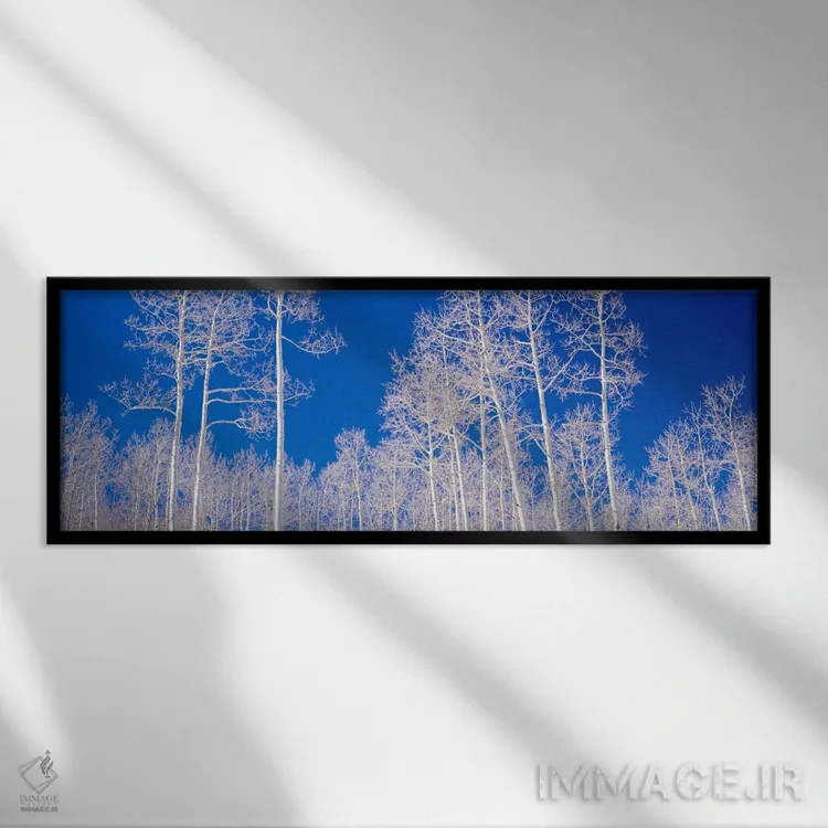 تابلو Utah, USA" - "نمایی از درختان اسپن در یک جنگل، یوتا، ایالات متحده" اثر پانورامیک ایمجز (استودیو عکاسی عریض) - نمای قابدار مشکی