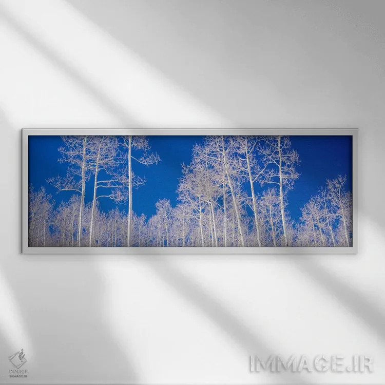 تابلو Utah, USA" - "نمایی از درختان اسپن در یک جنگل، یوتا، ایالات متحده" اثر پانورامیک ایمجز (استودیو عکاسی عریض) - نمای قابدار سفید