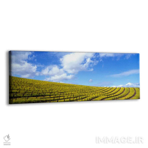 تابلو Napa Valley, California, USA" - "مزارع خردل، دره ناپا، کالیفرنیا، ایالات متحده" اثر پانورامیک ایمجز (استودیو عکاسی عریض) - نمای پرسپکتیو محصول