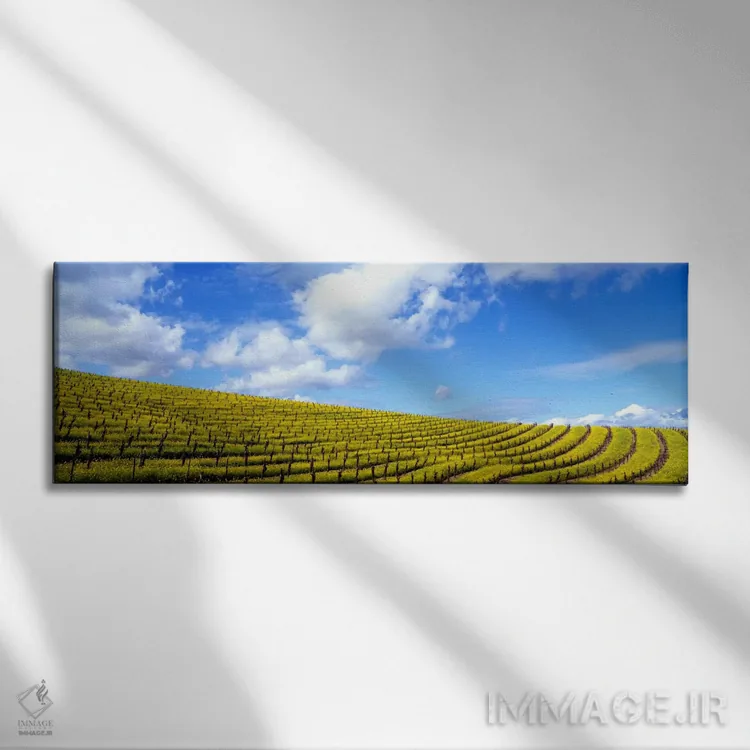 تابلو Napa Valley, California, USA" - "مزارع خردل، دره ناپا، کالیفرنیا، ایالات متحده" اثر پانورامیک ایمجز (استودیو عکاسی عریض) - نمای روبهرو روی دیوار