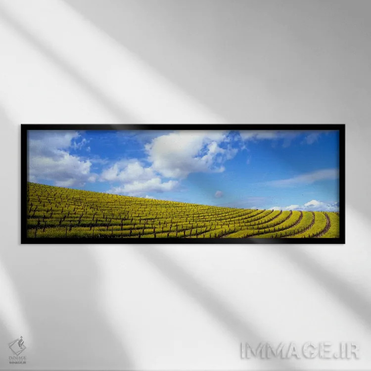 تابلو Napa Valley, California, USA" - "مزارع خردل، دره ناپا، کالیفرنیا، ایالات متحده" اثر پانورامیک ایمجز (استودیو عکاسی عریض) - نمای قابدار مشکی